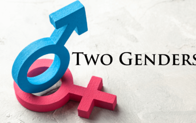 Trump Executive Order on Title IX and Gender Ideology, Explained