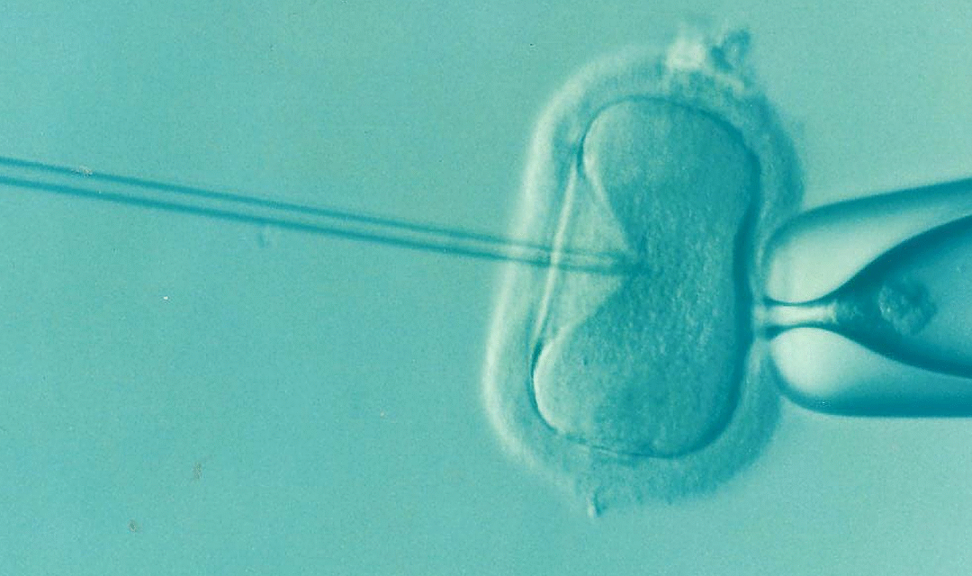 Wisconsin Democrats Introduce Bill Requiring IVF Insurance Coverage