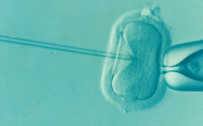 Wisconsin Democrats Introduce Bill Requiring IVF Insurance Coverage