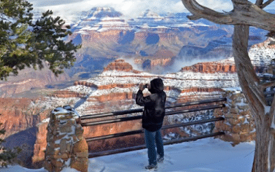 Trump Adds New National Park Free Admission Days