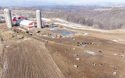 Wisconsin Dairy Industry Benefits from Increased Milk Consumption