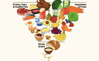 Wisconsin Dairy Group Happy With Food Pyramid Milk, Cheese Changes