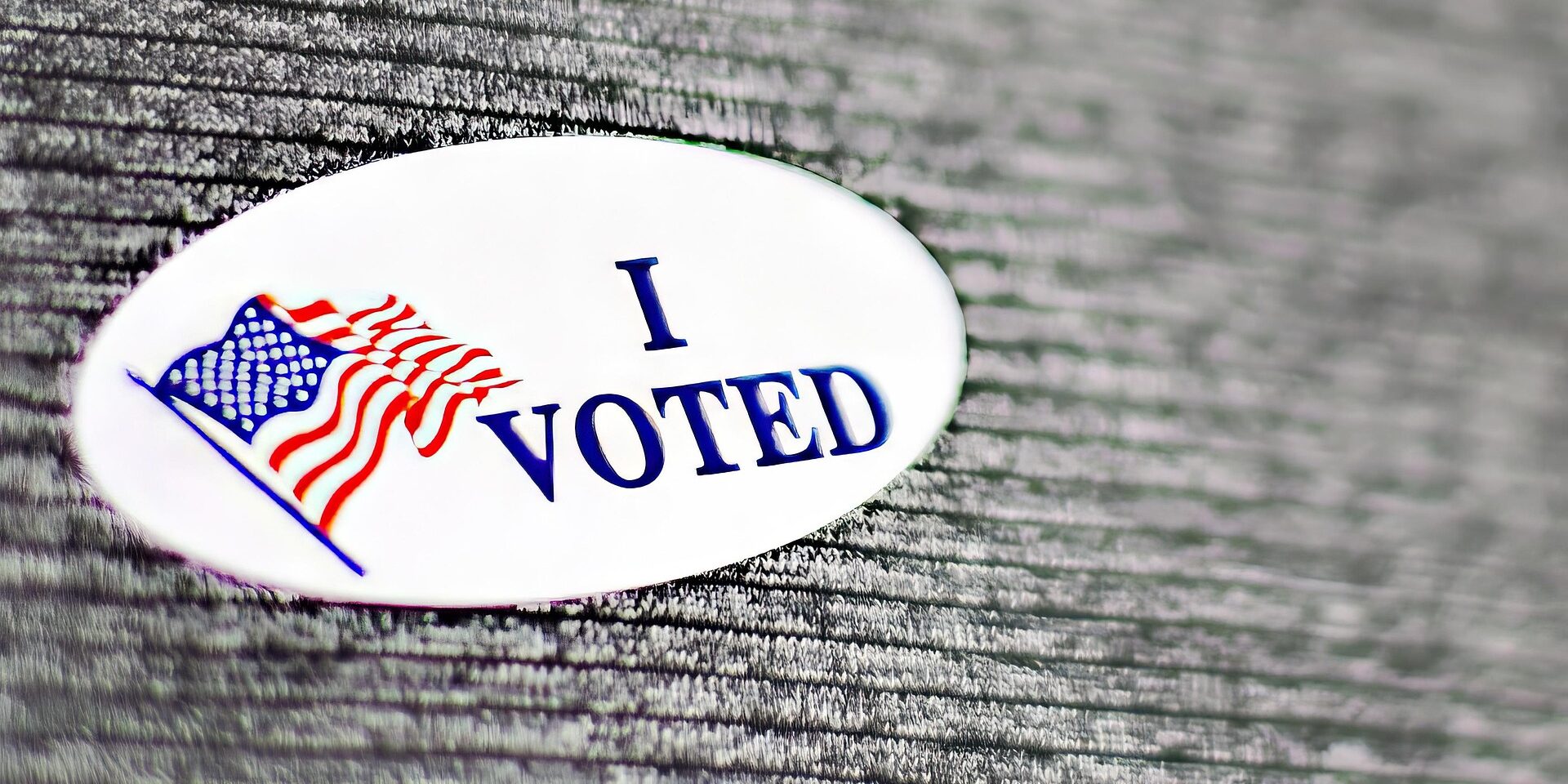 jillwellington-vote-9176783_1920